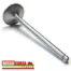 Exhaust valve for engine timing system for Lancia Fulvia 1.3