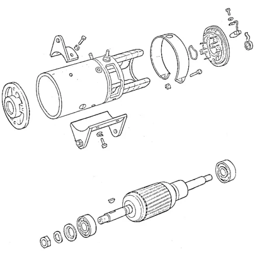 dinamo